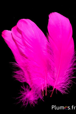 Gans - 11-15 cm - pink